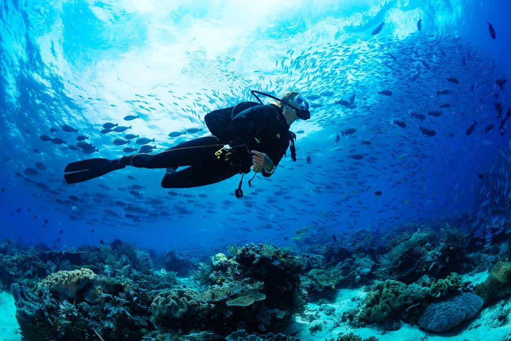 Aquatic
